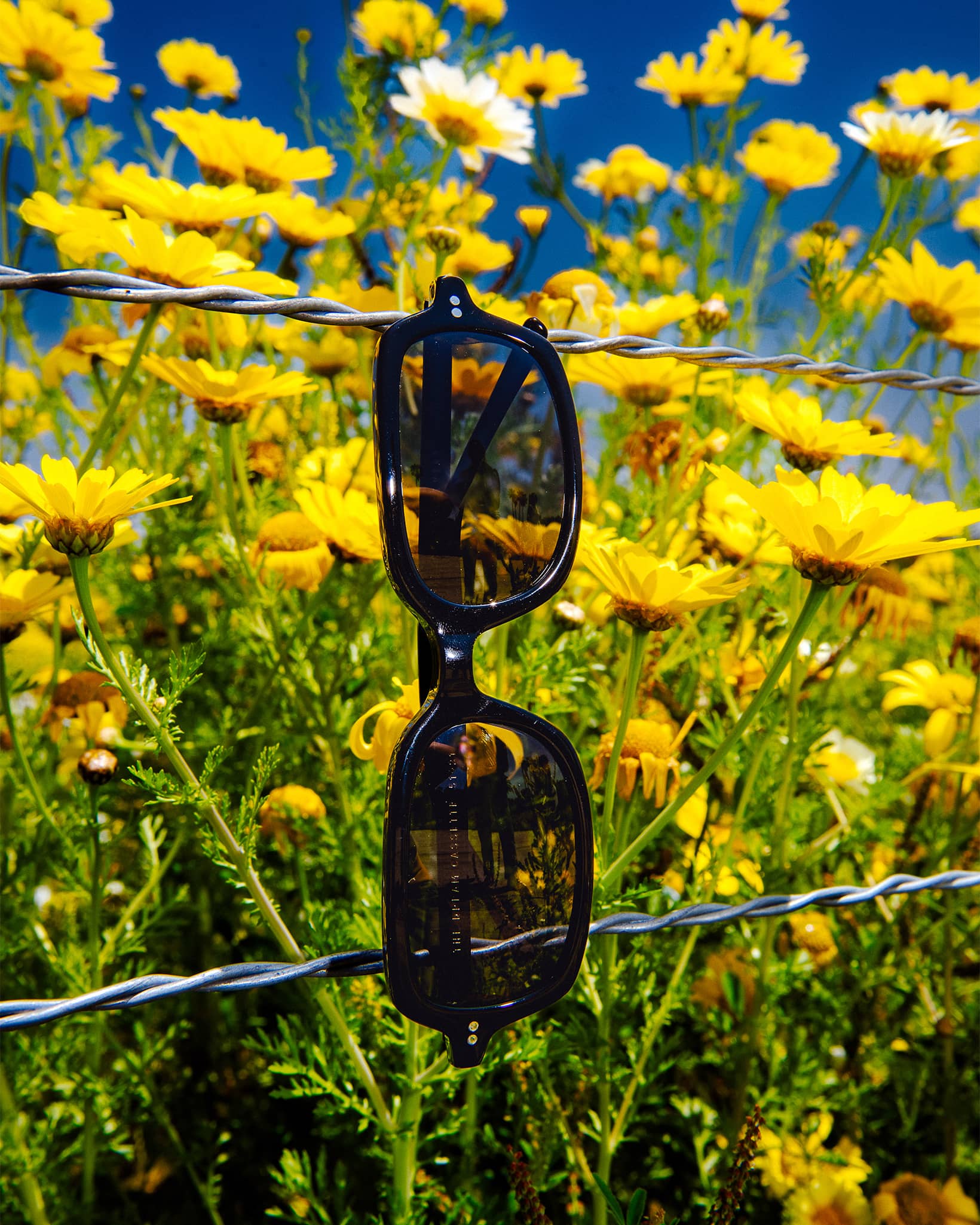 The Dream Cassette - Black Bio Polarized - Image 6
