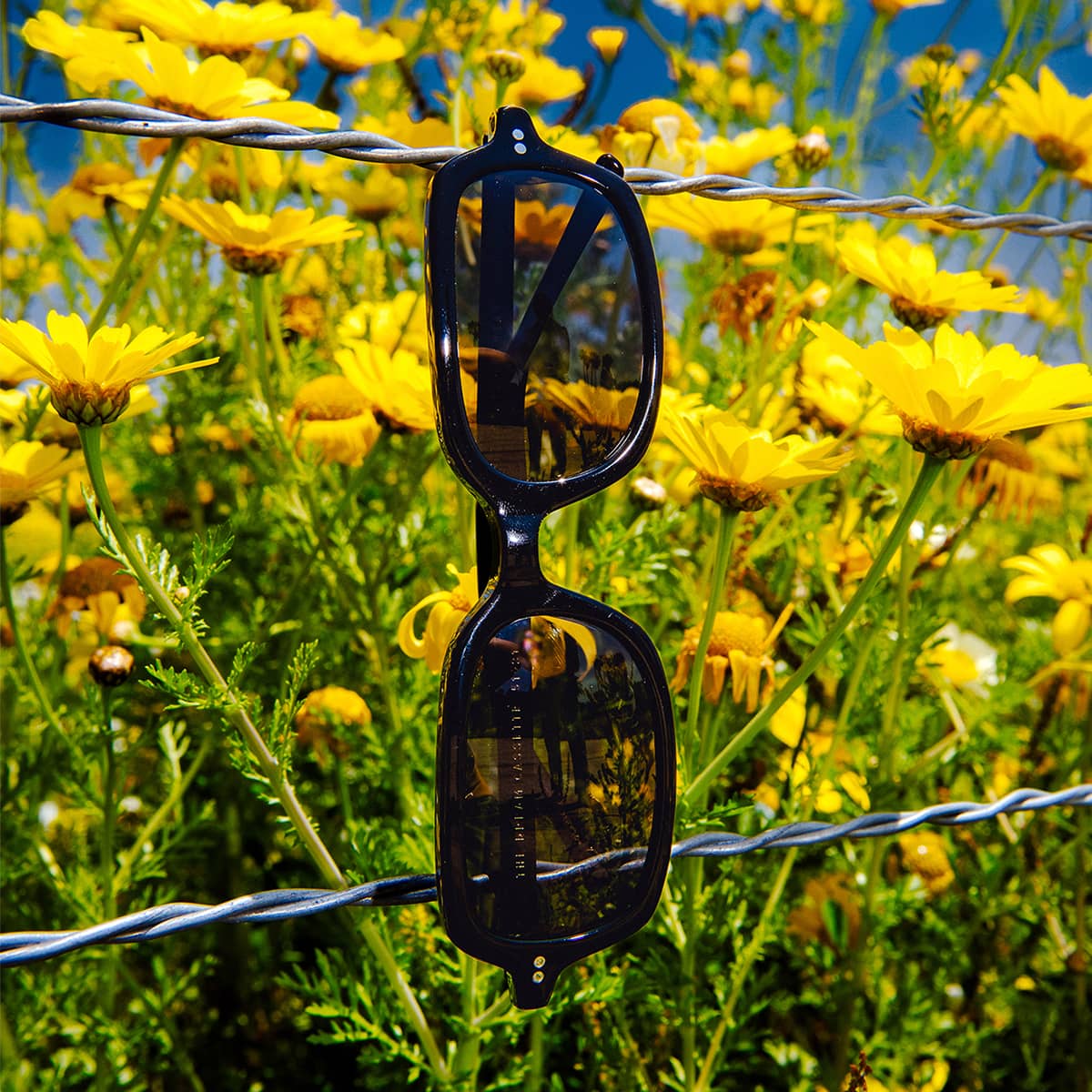 The Dream Cassette - Black Bio Polarized - Image 9