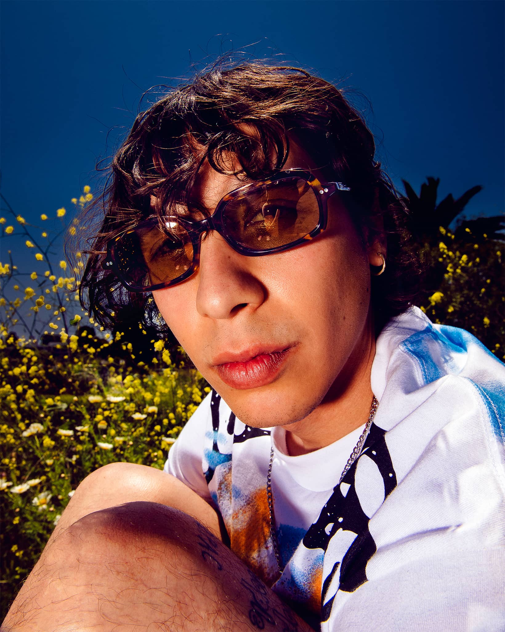 The Dream Cassette - Lunar Tortoise Bio Polarized - Image 6