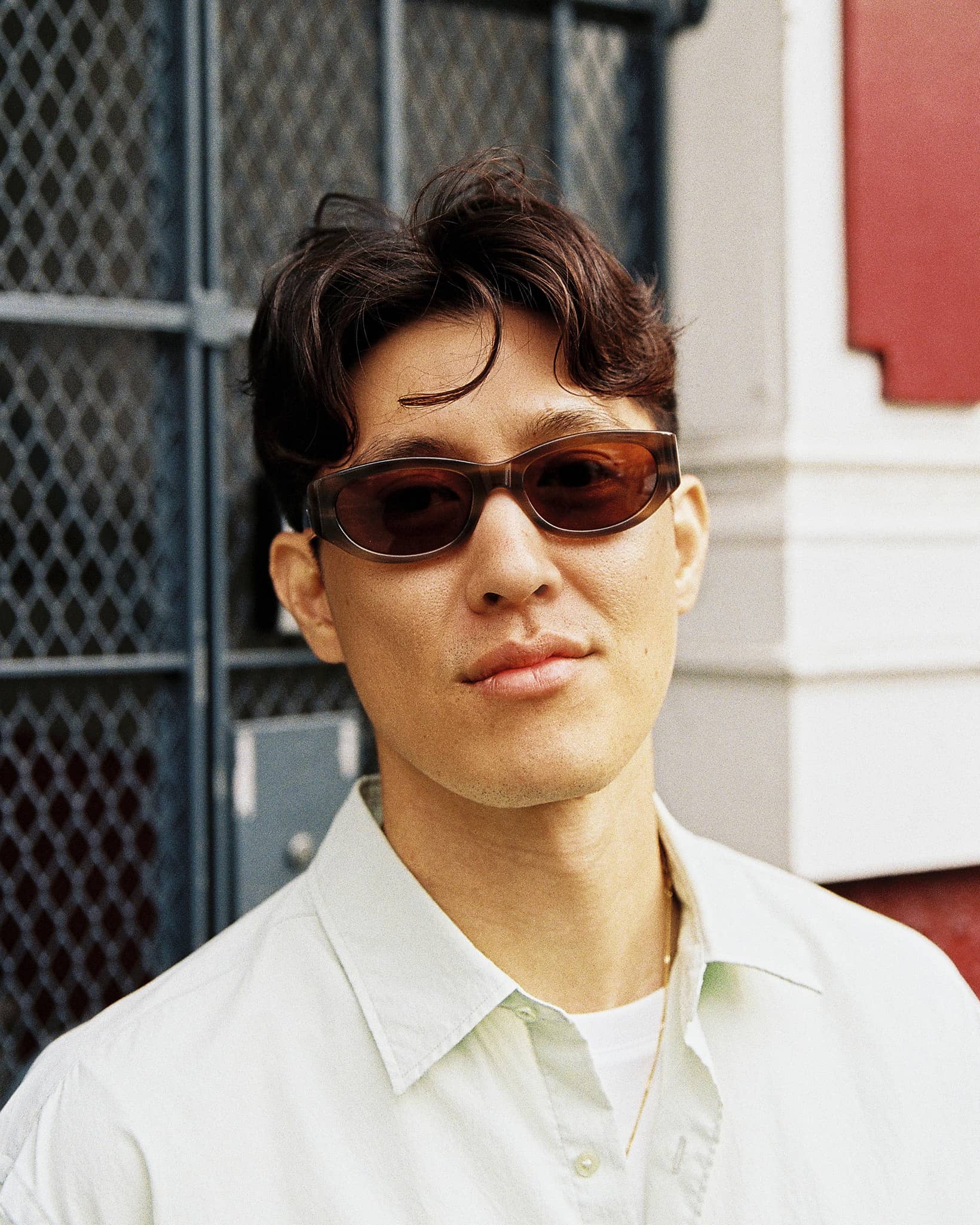 The Funk Punk - Cabagges Shiitake Bio - Image 3