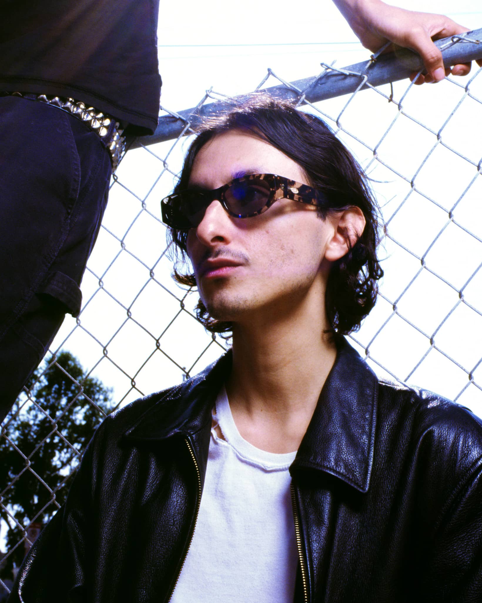 The Funk Punk - Desert Tortoise Bio Polarized - Image 5
