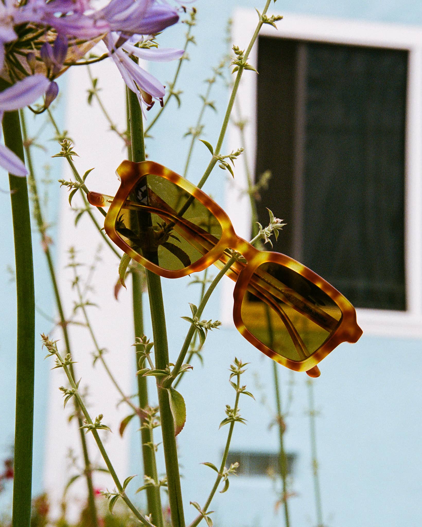 The Heavy Tropix - Blonde Tortoise Bio Polarized - Image 4