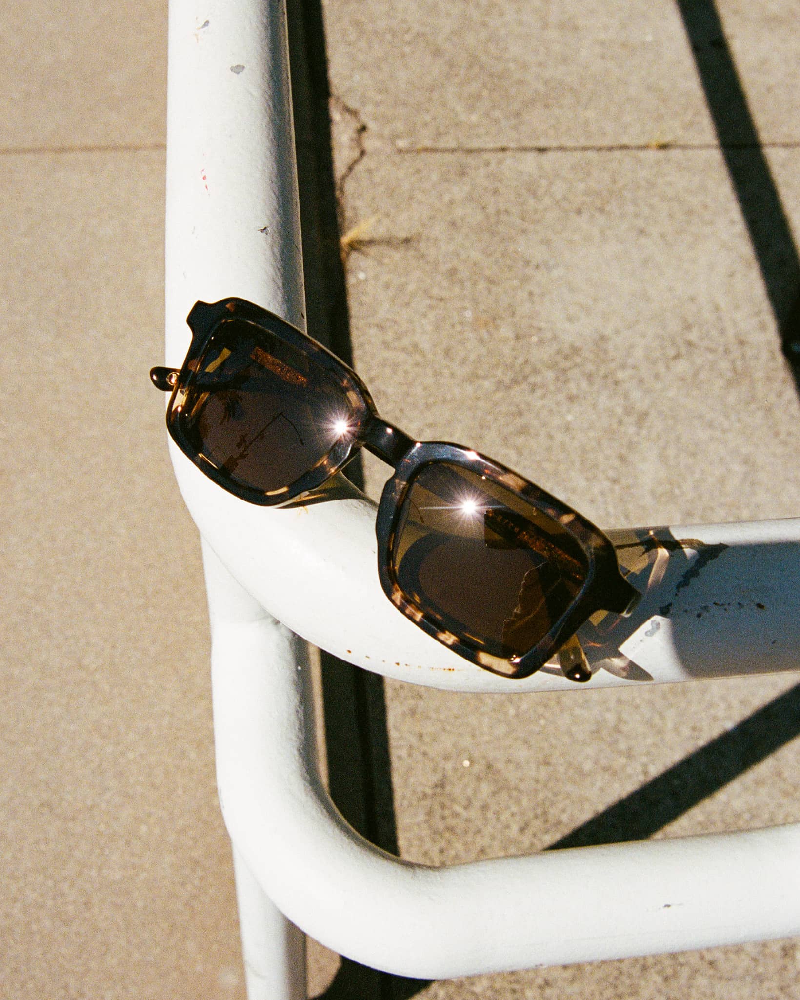 The Heavy Tropix - Desert Tortoise Bio Polarized - Image 5