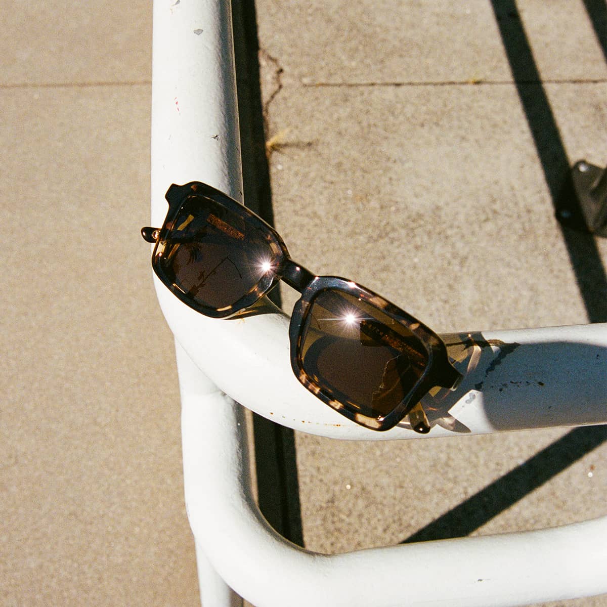 The Heavy Tropix - Desert Tortoise Bio Polarized - Image 8