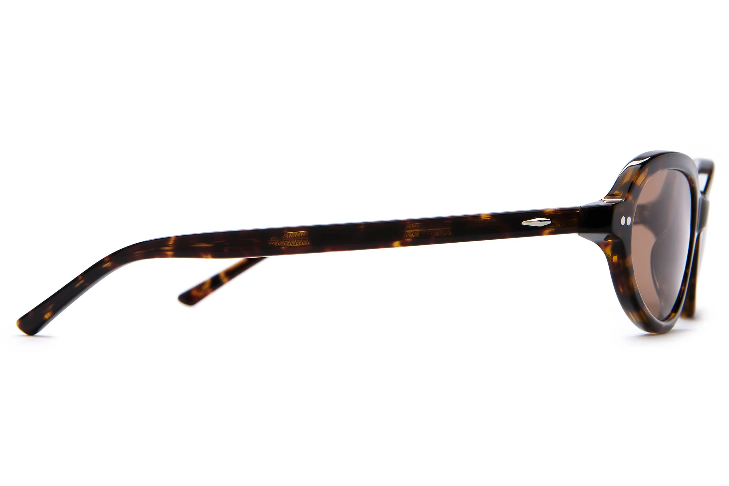 The Marquee Rox - Dark Tortoise Bio - Image 9