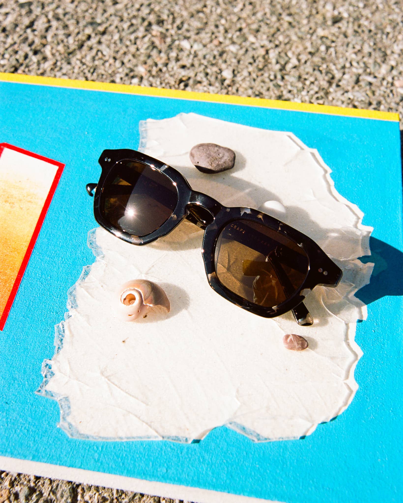 The No Wave - Black Tortoise Bio Polarized - Image 3