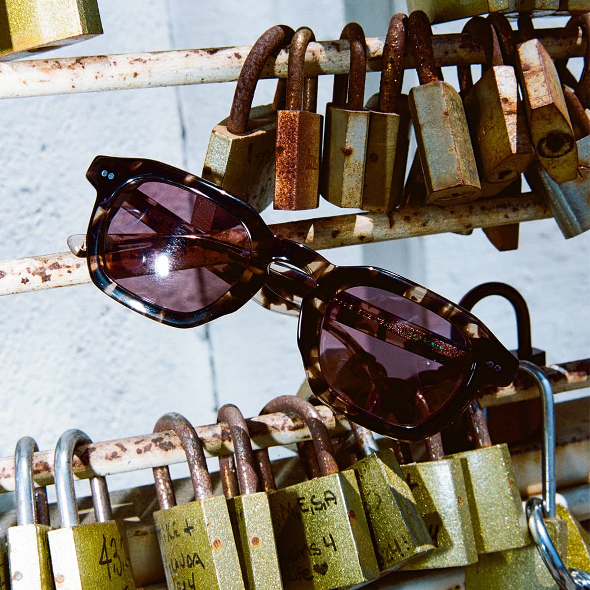 The No Wave - Desert Tortoise Bio Polarized - Image 10