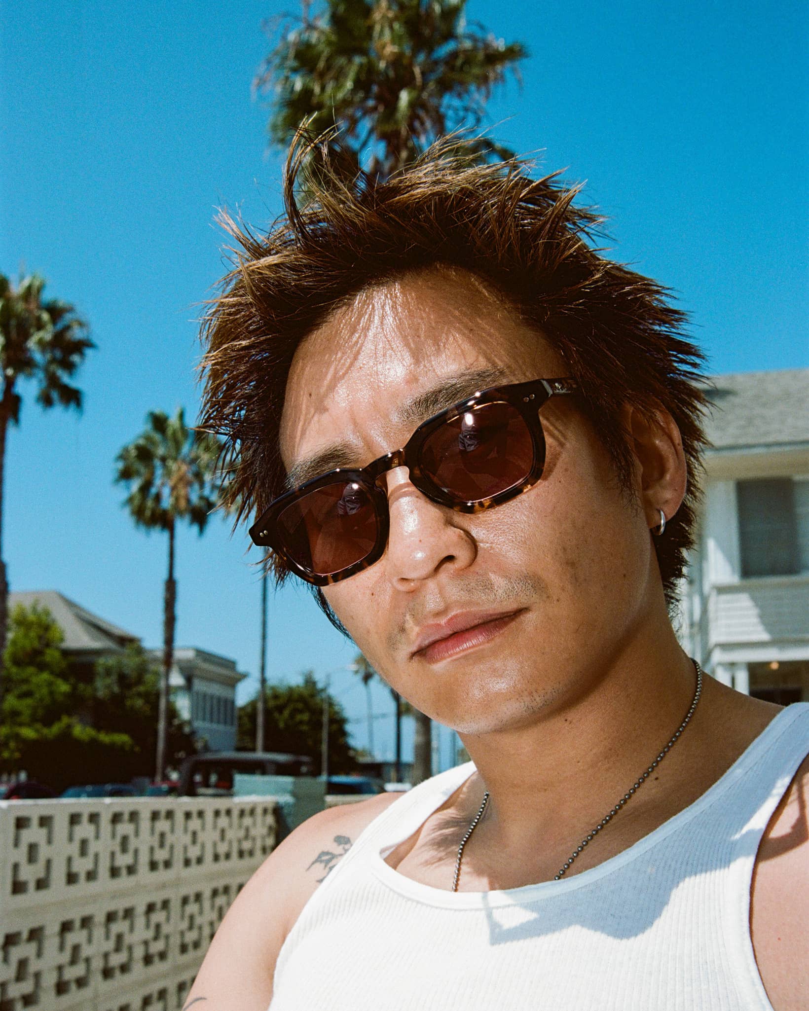 The No Wave - Desert Tortoise Bio Polarized - Image 4