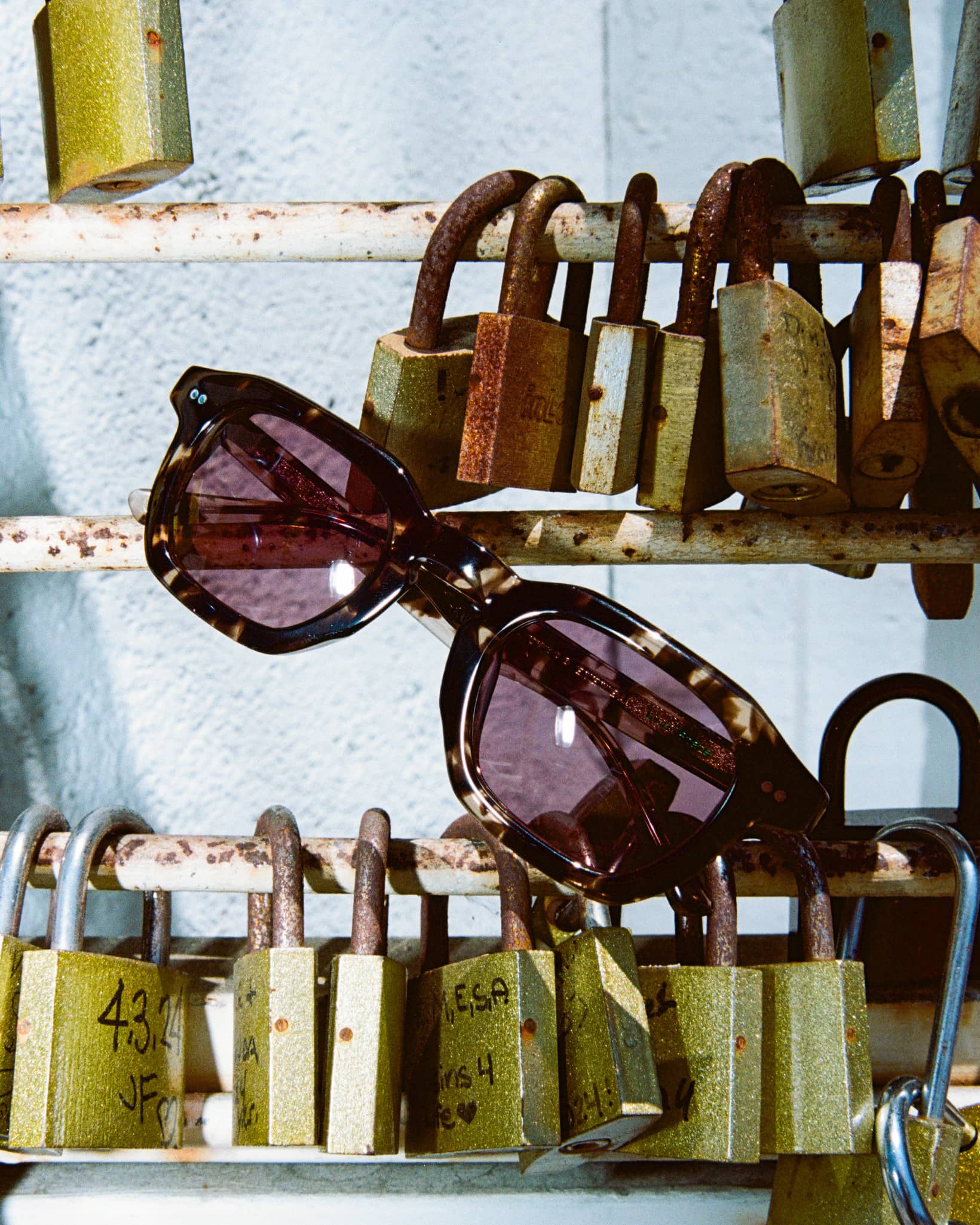 The No Wave - Desert Tortoise Bio Polarized - Image 6