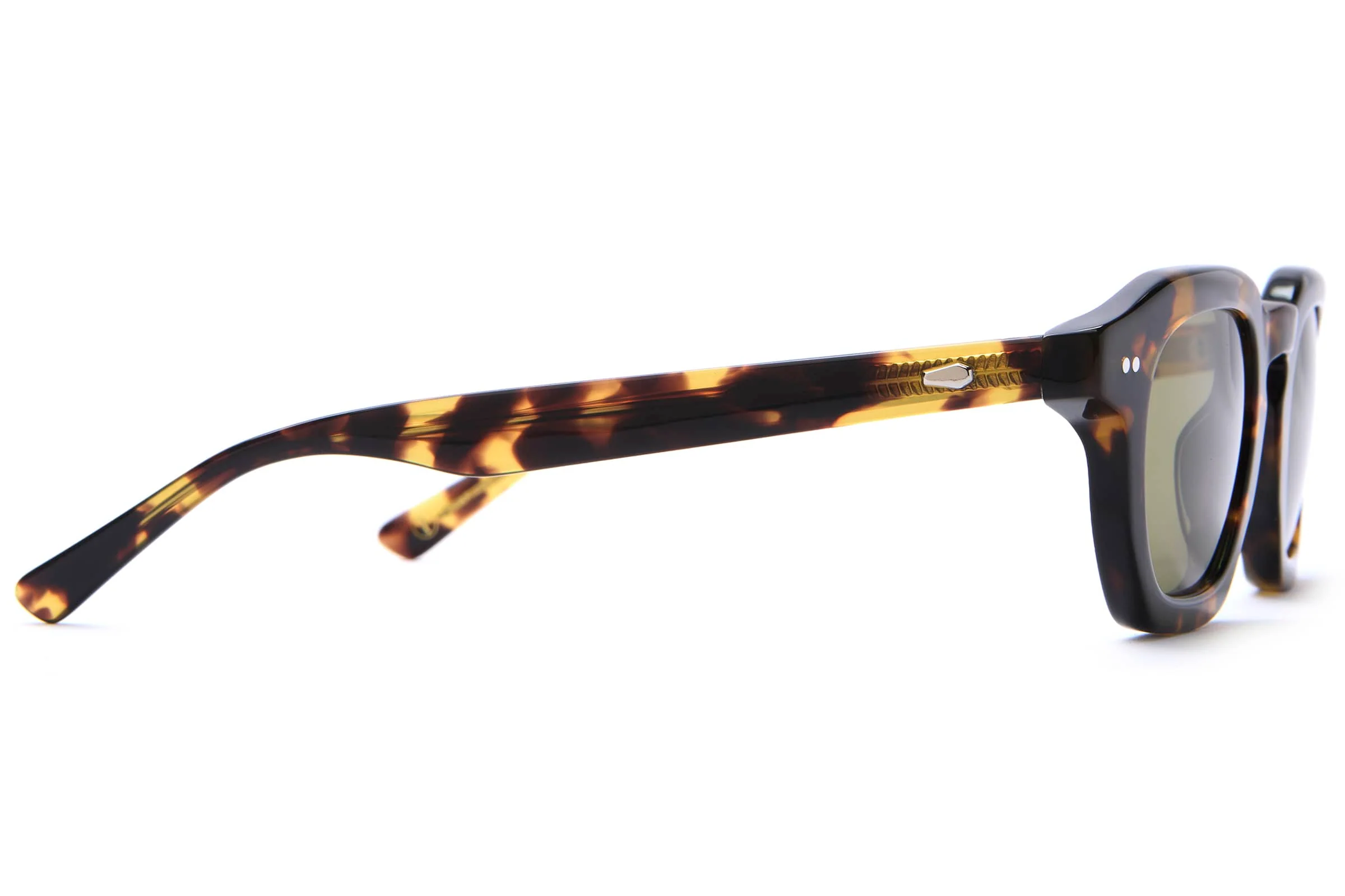 The No Wave - Lunar Tortoise Bio Polarized - Image 8