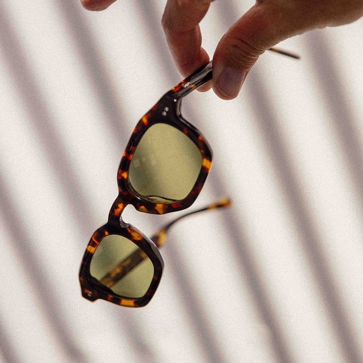 The No Wave - Lunar Tortoise Bio Polarized - Image 9
