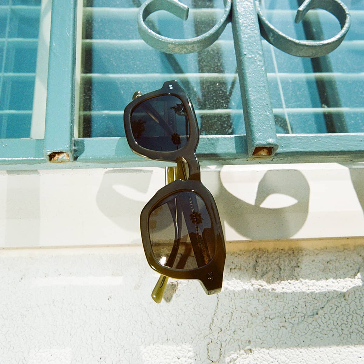 The No Wave - Seaweed Bio Polarized - Image 11