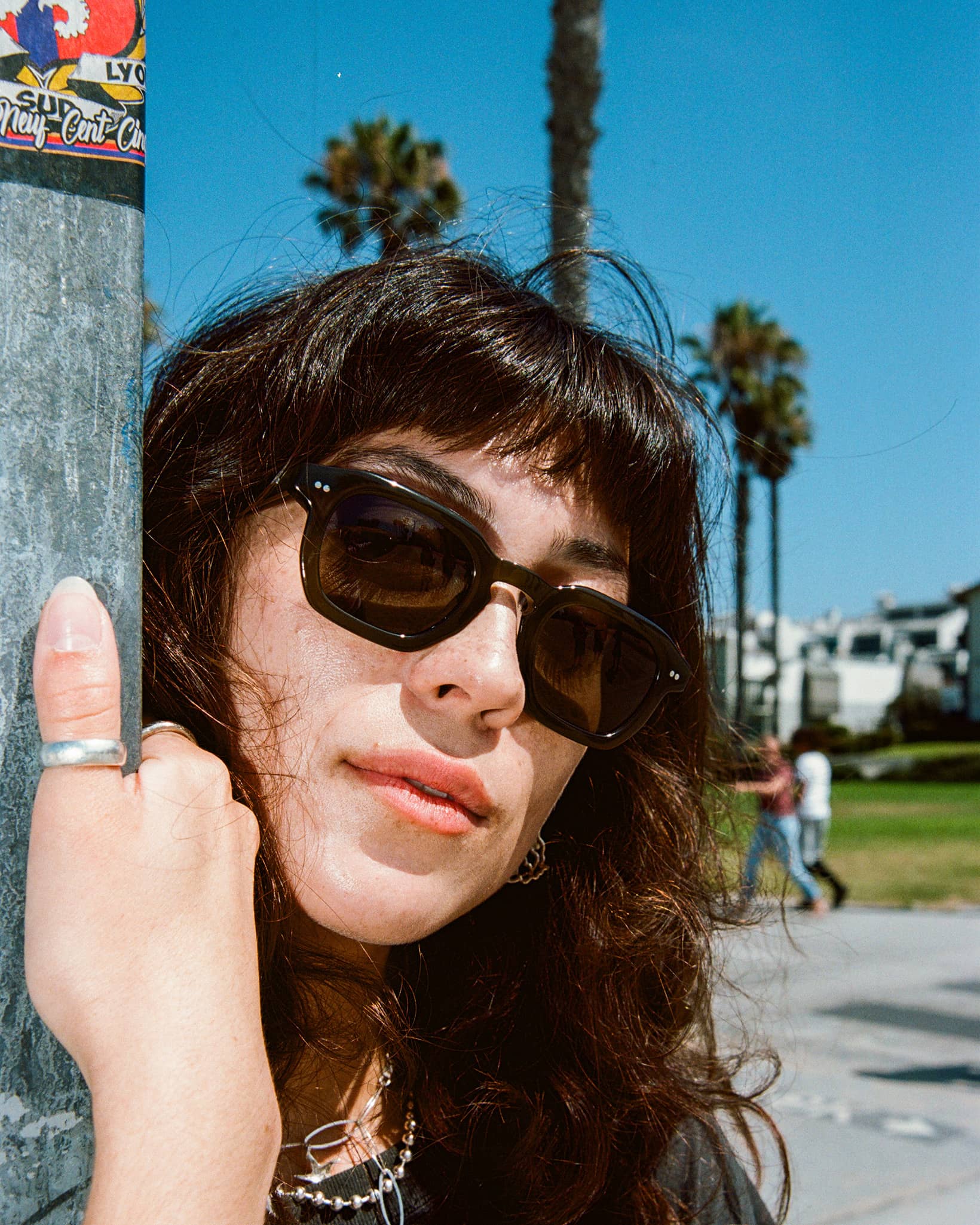 The No Wave - Seaweed Bio Polarized - Image 3