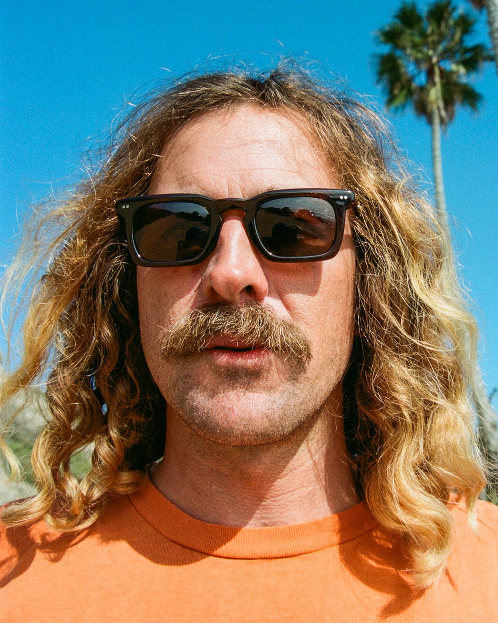 The Radio Haze - Crystal Cola Bio Polarized - Image 3