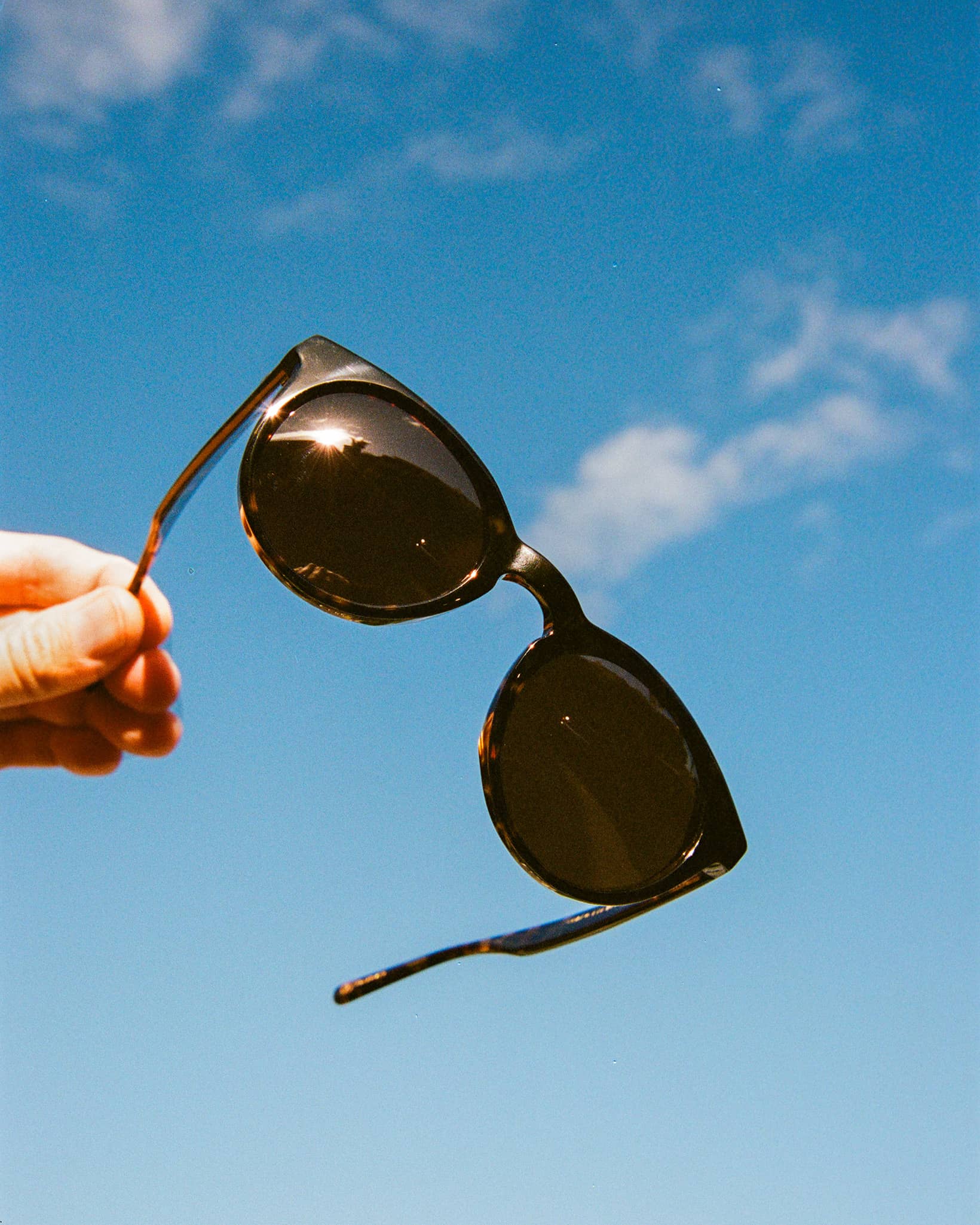 The Shake Appeal - Dark Tortoise Bio Polarized - Image 3