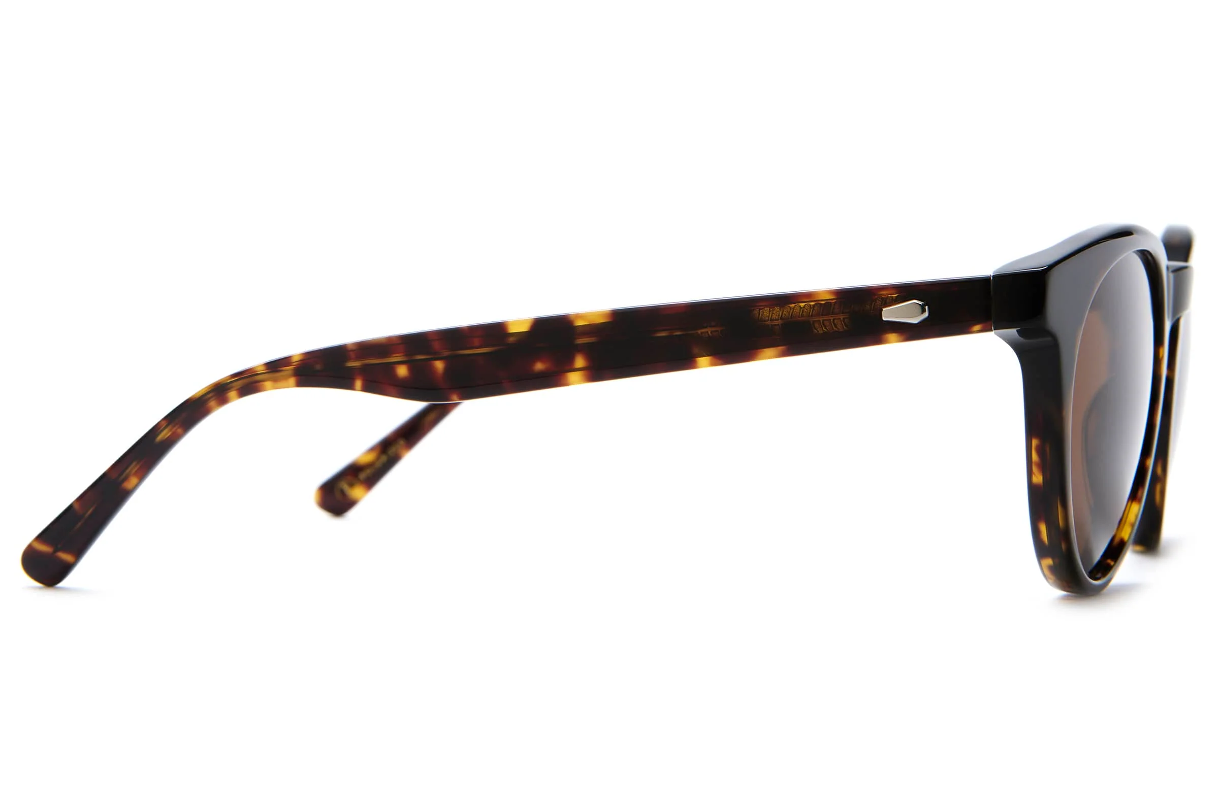 The Shake Appeal - Dark Tortoise Bio Polarized - Image 6
