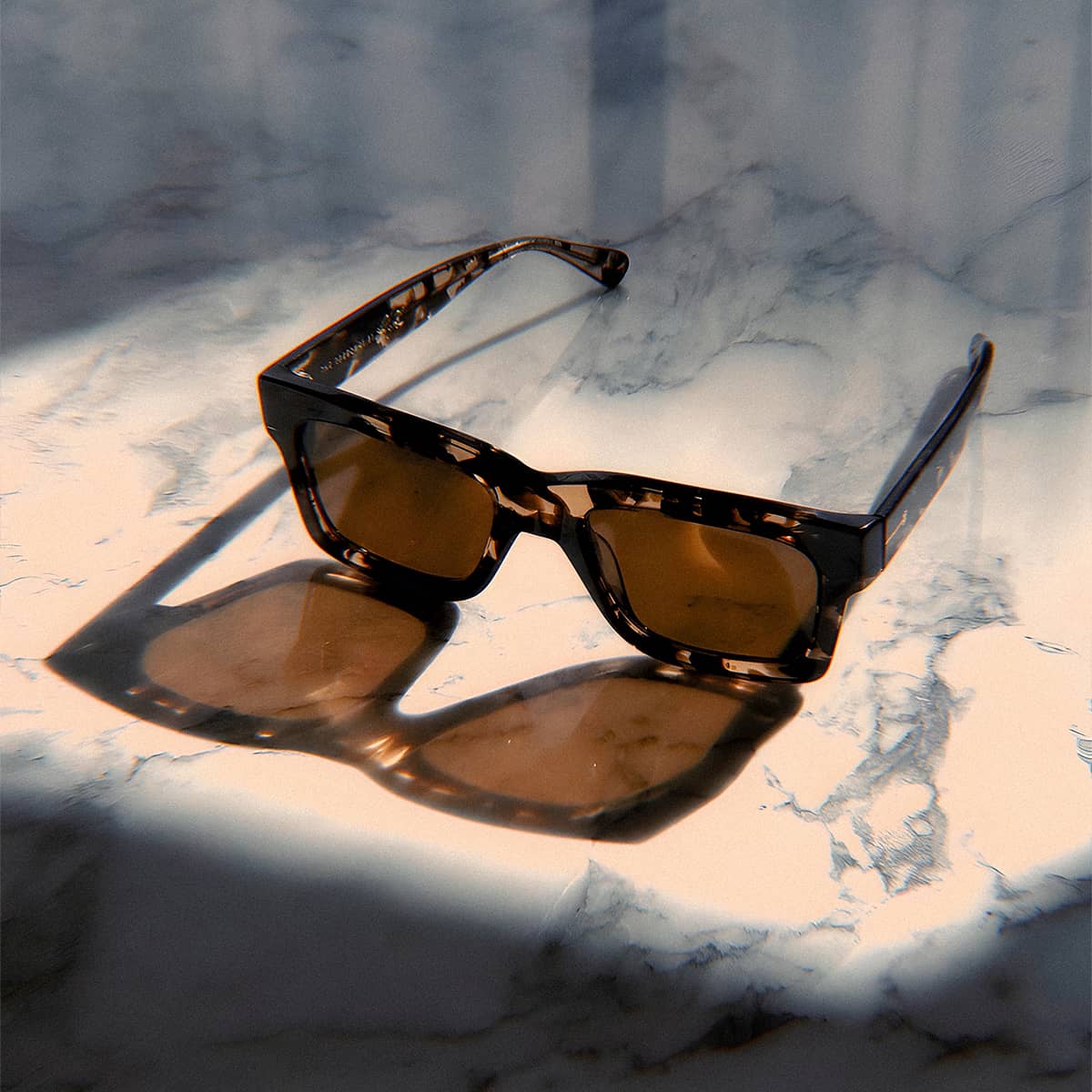 The Speedway - Desert Tortoise Bio Polarized - Image 11