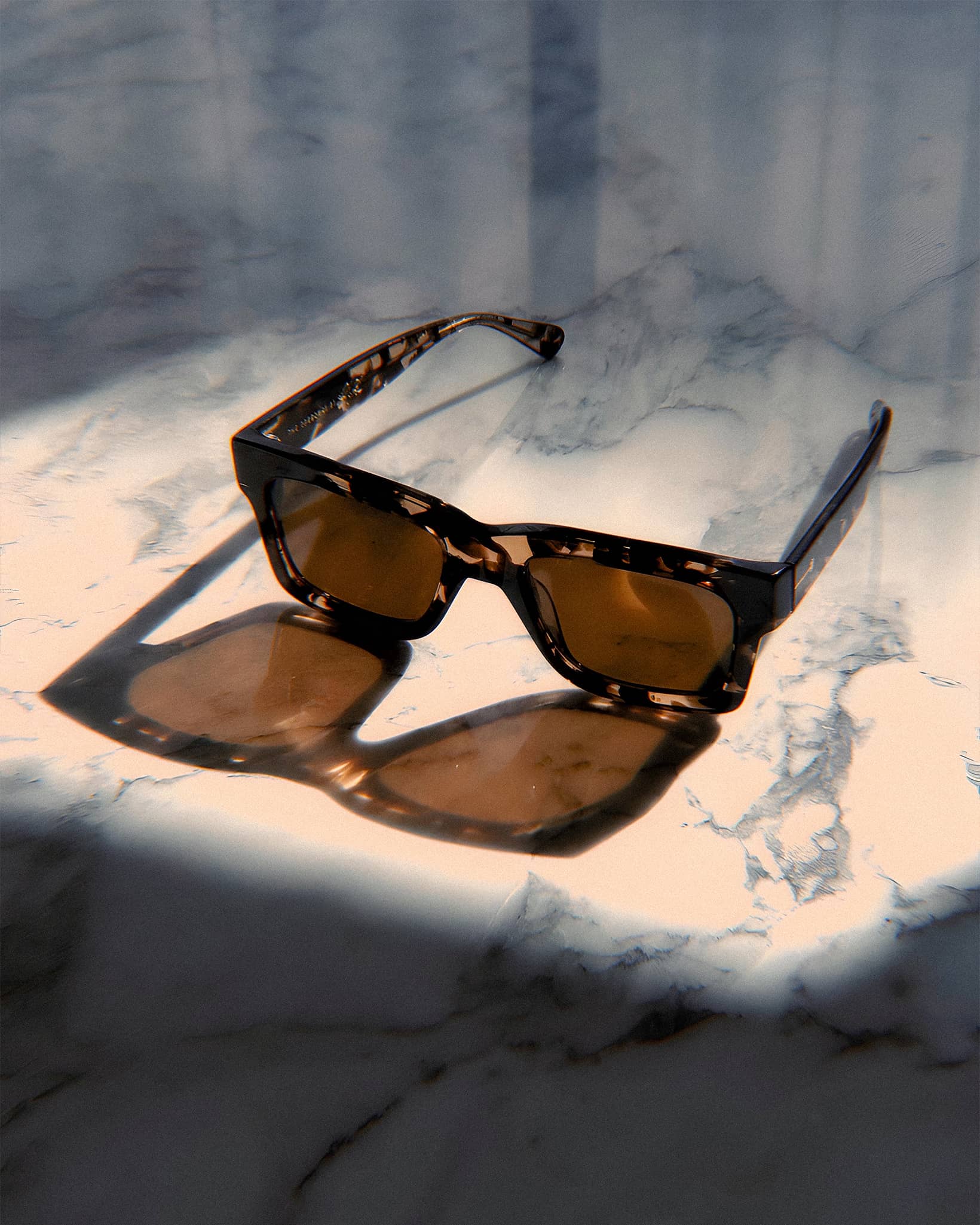 The Speedway - Desert Tortoise Bio Polarized - Image 7