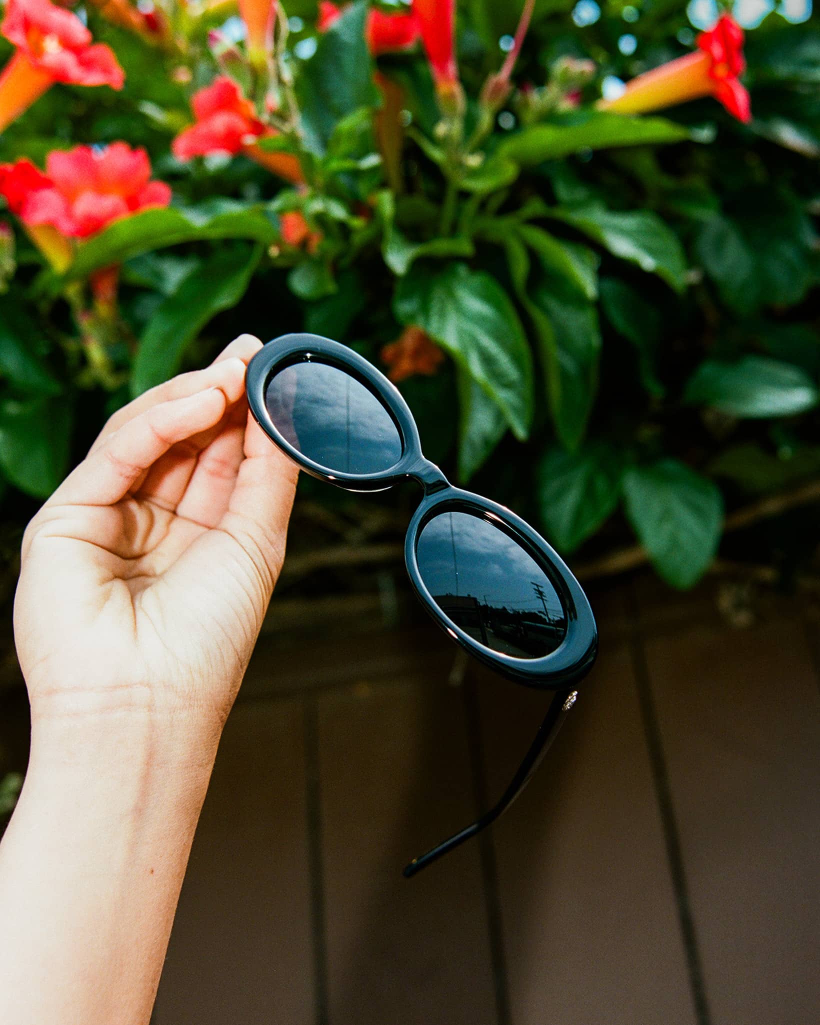 The Sweet Leaf - Polarized Black Bio - Image 6