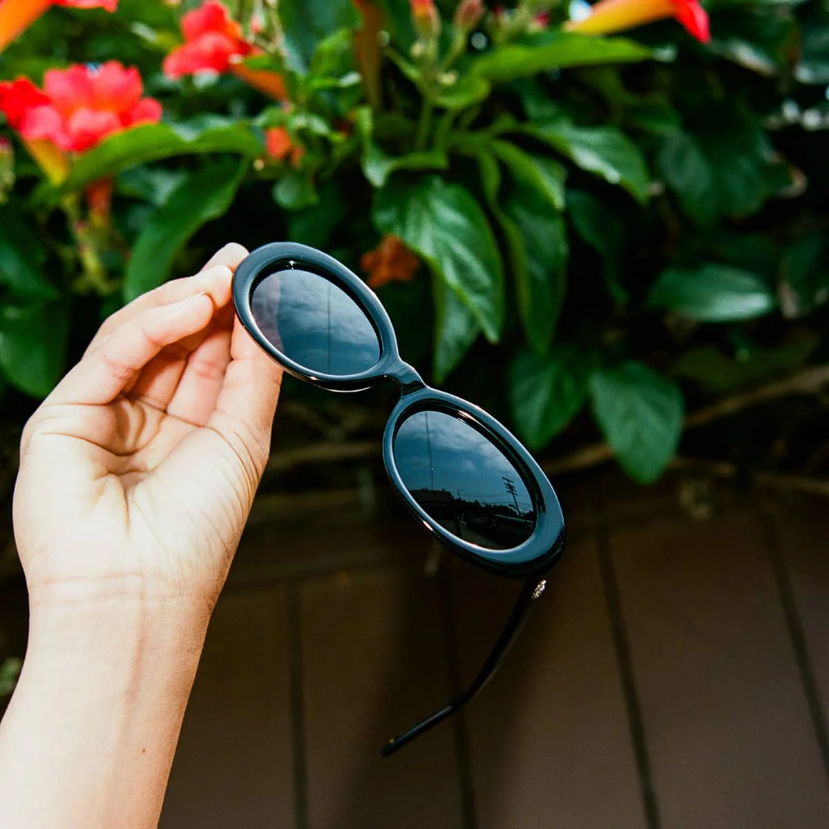 The Sweet Leaf - Polarized Black Bio - Image 9