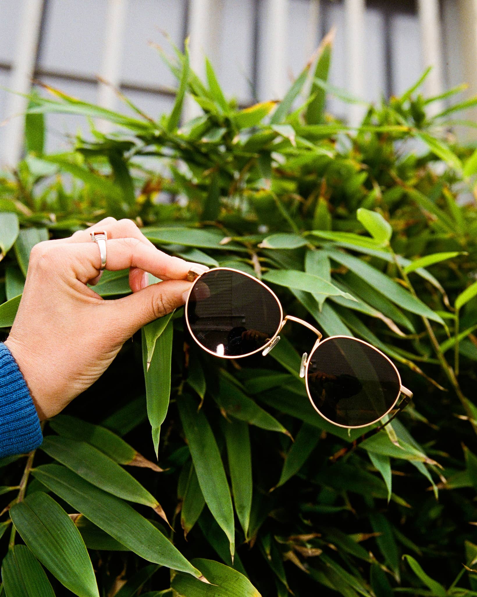 The Tuff Patrol - Gold Polarized - Image 6