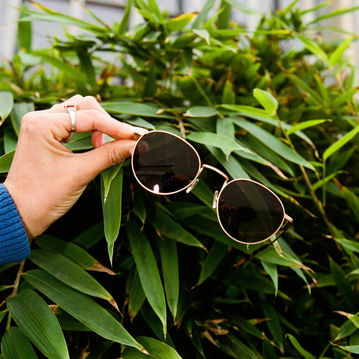 The Tuff Patrol - Gold Polarized - Image 9