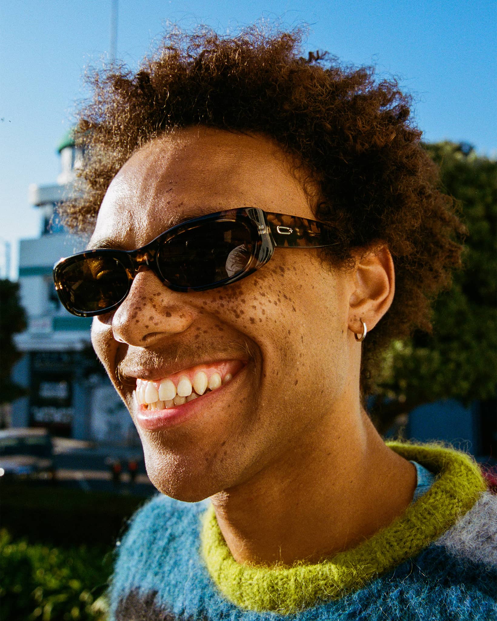 The Void Pixie - Desert Tortoise Bio Polarized - Image 4