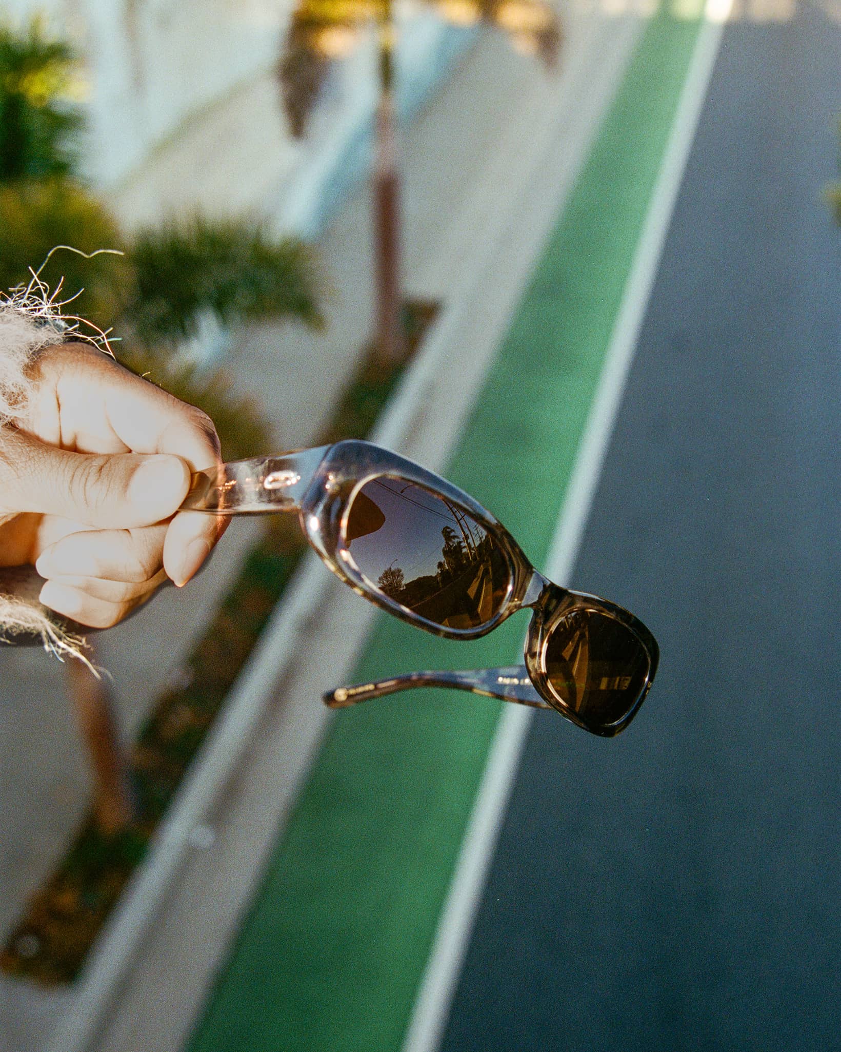 The Void Pixie - Desert Tortoise Bio Polarized - Image 5